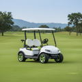 Electric Golf Cart on a lush golf course fairway